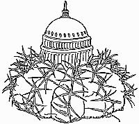 National Capital Cactus
              & Succulent Society Logo